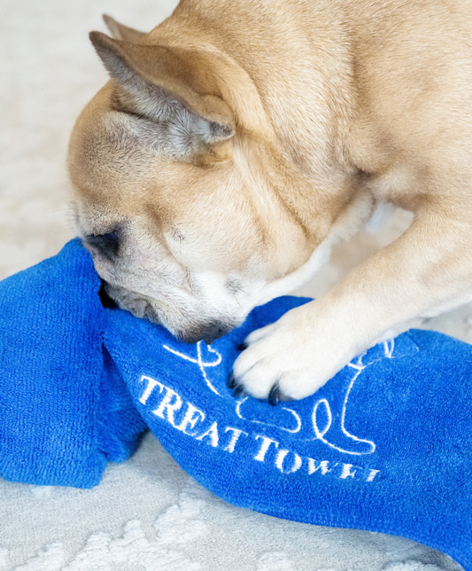Treat Towel® Dog Puzzle Toy – Calming Sniffing & Enrichment Game